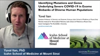 Short Talk: Identifying Mutations and Genes Underlying Severe COVID-19 in Exome Biobanks of Diverse Human Populations icon