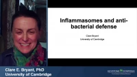 Inflammasomes and Anti-Bacterial Defense icon