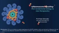 Inflammasomes: From Fundamental Biology to New Therapeutics icon