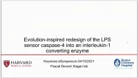 Short Talk: Evolution-Inspired Redesign of the LPS Receptor Caspase-4 into an Interleukin-1 Converting Enzyme icon