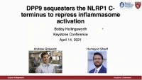 Short Talk: DPP9 Sequesters the NLRP1 C-Terminus to Repress Inflammasome Activation icon