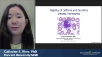 Short Talk: Rigidity of Cell Fate and Function among Monocytes icon
