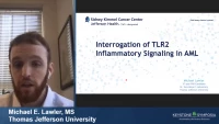 Short Talk: Interrogation of TLR2 Inflammatory Signaling in AML icon
