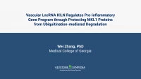 Vascular LncRNA KILN Regulates Pro-inflammatory Gene Program through Protecting MKL1 Proteins from Ubiquitination-mediated Degradation icon