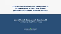 SARS-CoV-2 infection induces the expression of lncRNAs involved in class I MHC antigen presentation and antiviral interferon response icon