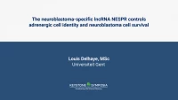 The neuroblastoma-specific lncRNA NESPR controls adrenergic cell identity and neuroblastoma cell survival icon