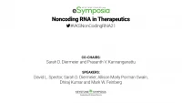 Noncoding RNA in Therapeutics icon