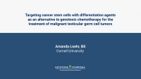 Targeting cancer stem cells with differentiation agents as an alternative to genotoxic chemotherapy for the treatment of malignant testicular germ cell tumors icon