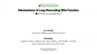 Mechanisms of Long Noncoding RNA Function icon