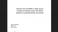 Short Talk: Pairing to the MicroRNA 3′ Region Occurs through Two Alternative Binding Modes, with Affinity Shaped by Nucleotide Identity as well as Pairing Position icon