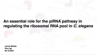 Short Talk: An Essential Role for the piRNA Pathway in Regulating the Ribosomal RNA Pool in C. elegans icon