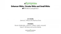 Enhancer RNAs, Circular RNAs and Small RNA icon