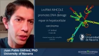 Short Talk: LncRNA NIHCOLE Promotes DNA Damage Repair of Hepatocellular Carcinoma Cells icon