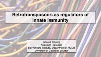 Retrotransposons as Regulators of Innate Immunity icon