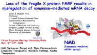 Loss of Fragile X Protein Results in Misregulation of Nonsense-Mediated mRNA Decay icon