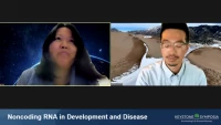 Noncoding RNA in Development and Disease icon