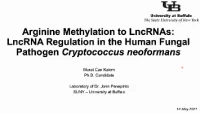 Short Talk: Long Noncoding RNA Regulation in Human Fungal Pathogen Cryptococcus neoformans icon
