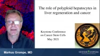 The Role of Polyploid Hepatocytes during Liver Regeneration and Cancer icon