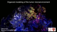 Organoid Modeling of the Tumor Microenvironment icon