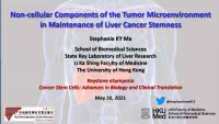 Non-Cellular Components of the Tumor Microenvironment in Maintenance of Liver Cancer Stemness icon