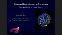 Short Talk: Clustering of Super-Enhancers for Characterizing Subtype Identity in Breast Cancer icon