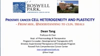 Molecular Understanding and Therapeutic Targeting of Prostate Cancer Cell Heterogeneity icon