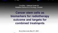 Cancer Stem Cells as Biomarkers for Radiotherapy Outcome and Targets for Combined Treatments icon