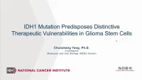 IDH1 Mutation Predisposes Distinctive Therapeutic Vulnerabilities in Glioma Stem Cells icon