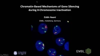 Chromatin-Based Mechanisms of Gene Silencing during X-Chromosome Inactivation icon