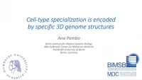Specialization of Brain Cell Types is Encoded by Specific 3D Genome Structures icon