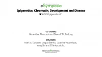 Epigenetics, Chromatin, Development and Disease icon