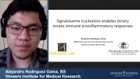 Short Talk: Signalosome Nucleation Enables Binary Innate Immune Proinflammatory Responses icon