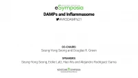 DAMPs and Inflammasome icon
