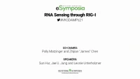 RNA Sensing through RIG-I icon