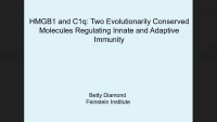 HMGB1 and C1q: Two Evolutionarily Conserved Molecules Regulating Innate and Adaptive Immunity icon