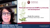 Plant Cell Wall-Derived DAMPs in Immunity, Development and Tissue Repair icon