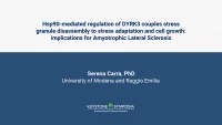 Hsp90-mediated regulation of DYRK3 couples stress granule disassembly to stress adaptation and cell growth: implications for Amyotrophic Lateral Sclerosis. icon