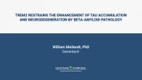 TREM2 restrains the enhancement of TAU accumulation and neurodegeneration by beta-amyloid pathology icon