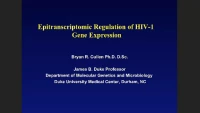 Epitranscriptomic Regulation of HIV-1 Gene Expression icon
