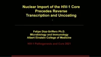 Short Talk: Nuclear Import of the HIV-1 Core Precedes Reverse Transcription and Uncoating icon