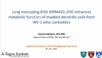 Short Talk: Long Noncoding RNA MIR4435-2HG Enhances Metabolic Function of Myeloid Dendritic Cells from HIV-1 Elite Controllers icon