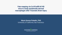 Fate mapping via Ccr2CreER:Ai14D mice to study peripherally derived macrophages after Traumatic Brain Injury icon