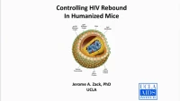 Controlling HIV Rebound in Humanized Mice icon