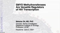 SMYD Methyltransferases are Versatile Regulators of HIV Transcription icon