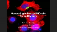 Short Talk: Reduction of HIV Reservoirs in CD4+ T Cells from Well-Suppressed HIV+ Participants by Autologous Expanded NK Cells icon