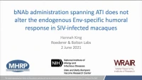 Short Talk: bNAb Administration Spanning ATI Does Not Alter the Endogenous Env-specific Humoral Response in SIV-infected Macaques icon