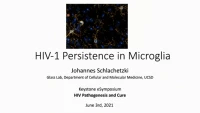 Short Talk: HIV Persistence in Microglia icon