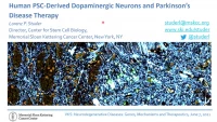 IPSC-Derived Dopaminergic Neurons and Parkinson's Disease Therapy icon