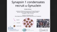 Short Talk: Synapsin and Synaptic Vesicle Condensates Recruit alpha-Synuclein icon