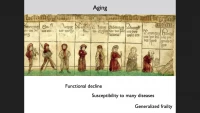 Neuro-Immune Interactions in the Aging Neurogenic Niche icon